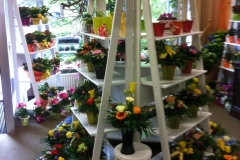 k-img_0092
