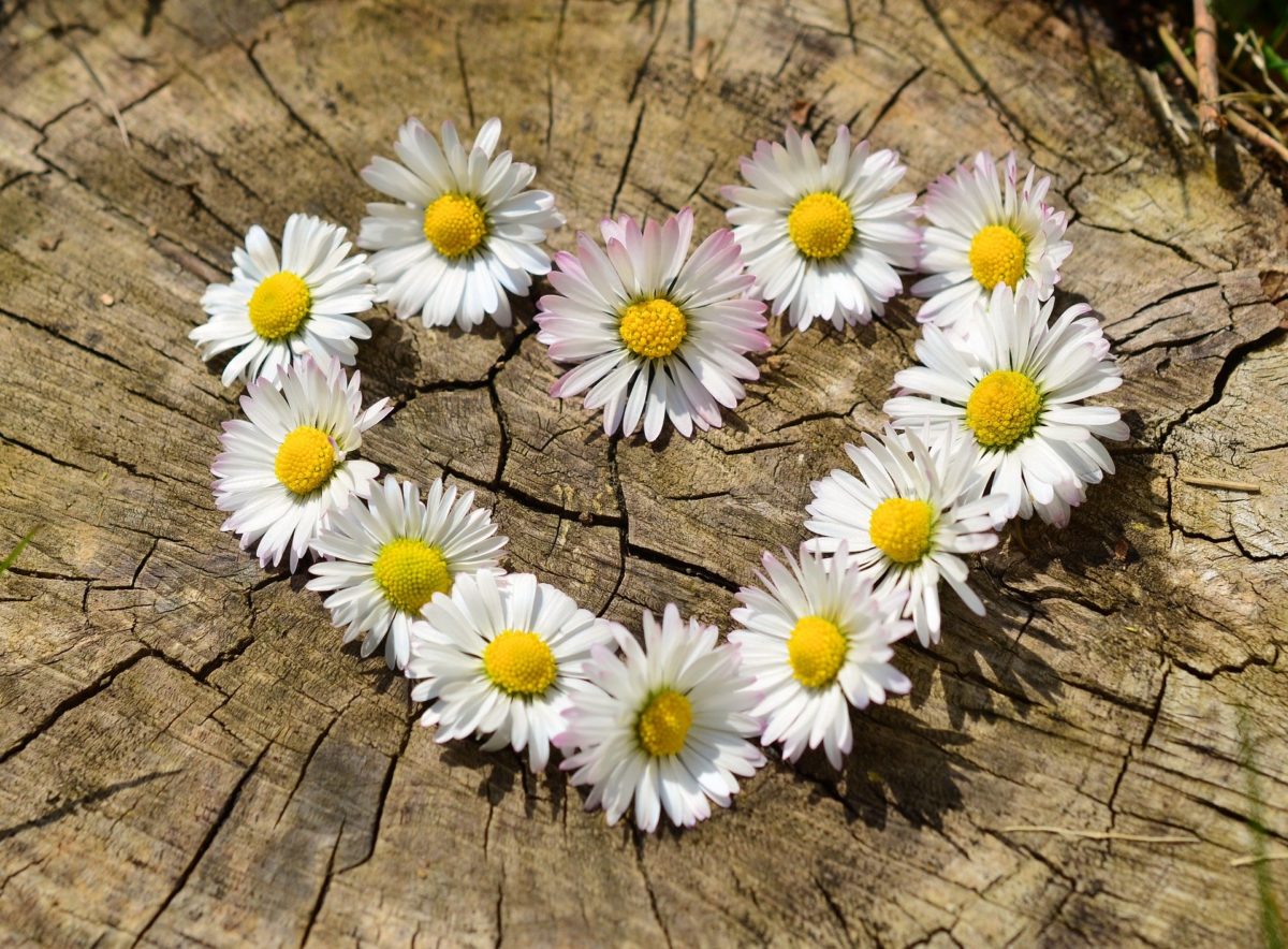 Blumen